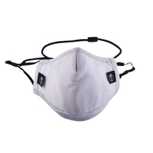 Load image into Gallery viewer, Fender Face masks by Treefort Lifestyles